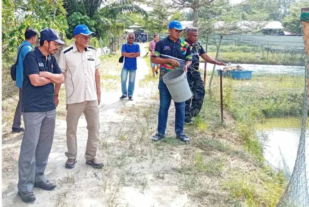 Nordin (dua dari kiri) bersama Mohd Uzir (kiri) ketika melawat projek keterjaminan rantaian bekalan ikan air tawar IGROW di HTA Aquaculture di Changkat Tualang, Kampar baru-baru ini.
