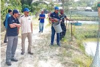 Nordin (dua dari kiri) bersama Mohd Uzir (kiri) ketika melawat projek keterjaminan rantaian bekalan ikan air tawar IGROW di HTA Aquaculture di Changkat Tualang, Kampar baru-baru ini.