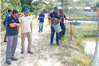 Nordin (dua dari kiri) bersama Mohd Uzir (kiri) ketika melawat projek keterjaminan rantaian bekalan ikan air tawar IGROW di HTA Aquaculture di Changkat Tualang, Kampar baru-baru ini.