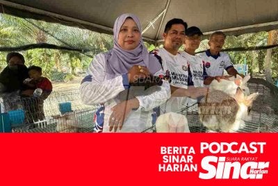 No Image Caption