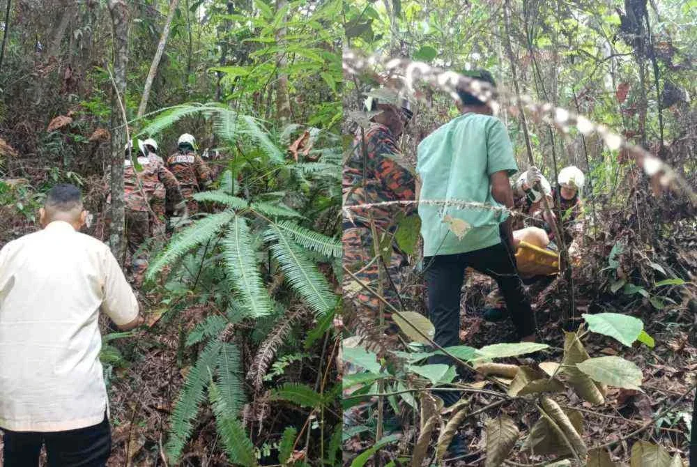 Anggota bomba bersama dua petugas KKM menjalankan operasi menyelamat dengan menstabilkan mangsa sebelum membawanya keluar menggunakan pengusung melalui laluan berbukit. Foto JBPM Perak