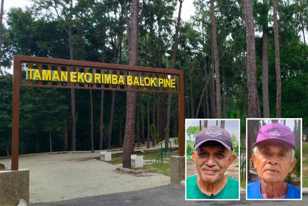 Taman Eko Rimba Balok Pine makin dikenali dan dikunjungi orang ramai terutama pada hujung minggu.Gambar kecil: Hamdan (kanan) dan Rosli.
