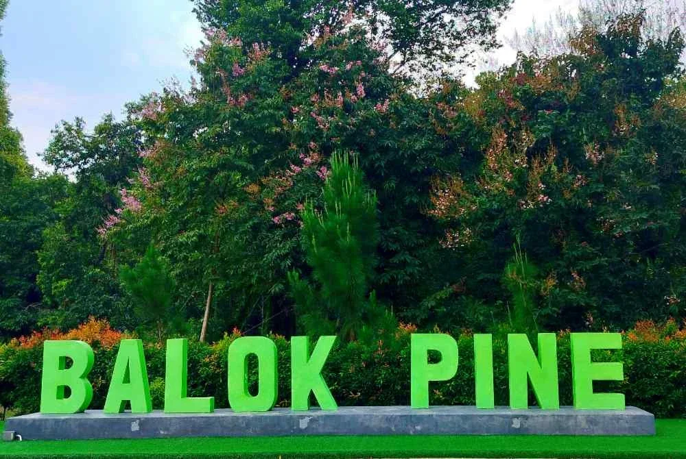 Lokasinya di tepi jalan masuk ke kawasan perumahan Balok Pine memudahkan pengunjung mengakses taman ini sama ada melalui Jalan Kuantan-Kemaman atau Jalan Pintasan Kuantan.