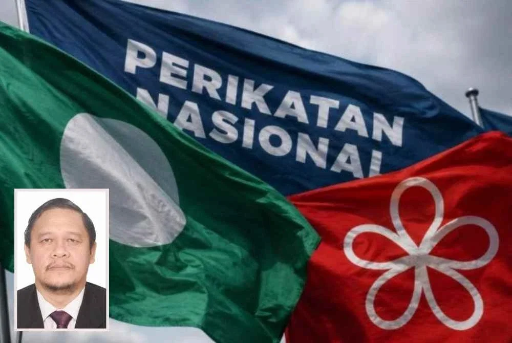 Bersatu tidak boleh terus berada dalam PN sambil setiap kali kalah menyalahkan Pas dan kepimpinan gabungan. Gambar kecil: Muhammad Afifi 