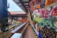 Pelbagai langkah diambil peniaga bagi menghalang kehadiran haiwan itu termasuk meletakkan patung ular di tiang laluan, dinding dan sekitar premis jualan sebagai usaha menakut-nakutkan monyet.
