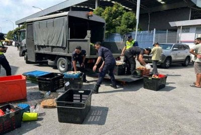 Sebahagian barangan penjaja warga asing disita dalam operasi berkenaan.