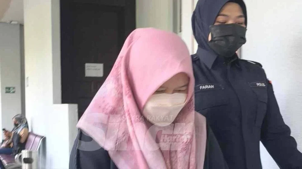 Mengikut pertuduhan, Sofia Rini didakwa menfitnah Farhash yang juga bekas Setiausaha Politik Perdana Menteri itu dengan menuturkan “ahli perniagaan itu kini seorang warganegara Turkiye telah mencuri wang dan menghantarnya ke luar Negara seperti Turkiye dan Afrika”.