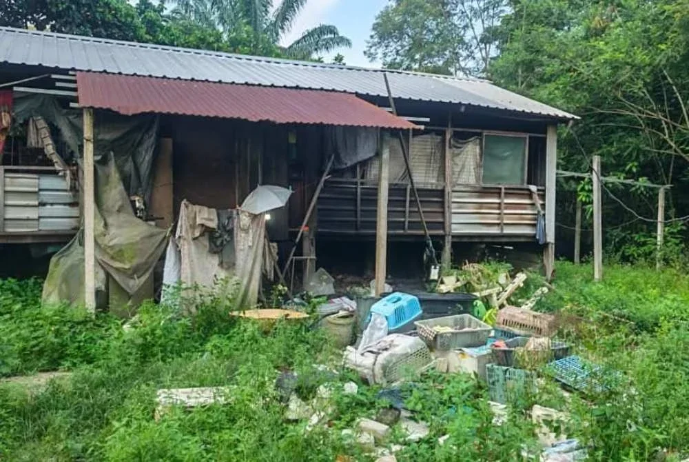 Keadaan persekitaran sebuah premis di Kampung Chemomoi, Bentong yang didakwa menjadi lokasi pengabaian lebih 30 ekor haiwan termasuk kucing, arnab dan ayam oleh seorang individu. Foto Facebook Kim Hyo Kyen