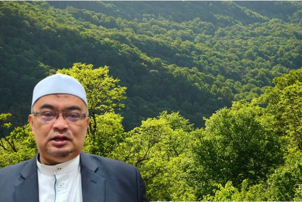 Mohamed Fadzli berkata, Jabatan Perhutanan Kelantan memberi jaminan bahawa setiap hutan simpan yang dibatalkan pewartaannya perlu diganti dengan kawasan lain. Foto hiasan