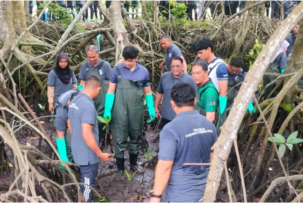 Rombongan diraja berkenan mencemar duli menyempurnakan penanaman anak bakau di Sungai Merbok pada Rabu.