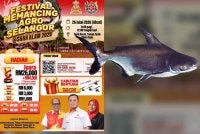 Poster mengenai penganjuran Festival Memancing Agro Selangor @ Shah Alam 2026 yang bakal diadakan pada 26 Julai ini. Ikan patin Siam (kanan)