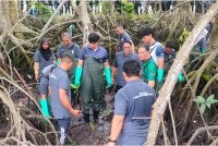 Rombongan diraja berkenan mencemar duli menyempurnakan penanaman anak bakau di Sungai Merbok pada Rabu.
