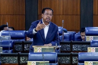 Abdul Rahman menjawab pertanyaan Rodziah di Dewan Rakyat pada Rabu.