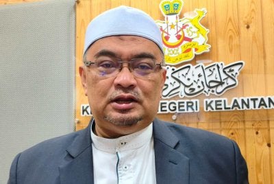 Mohamed Fadzli 