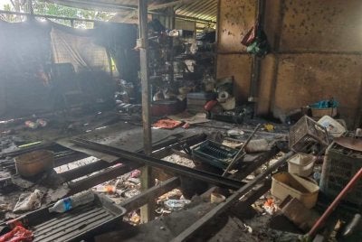 Keadaan di dalam premis di Kampung Chemomoi, Bentong yang menempatkan puluhan haiwan terabai dalam deretan sangkar besi berselerak dengan lantai dipenuhi sisa kotoran. Foto Facebook Kim Hyo Kyen