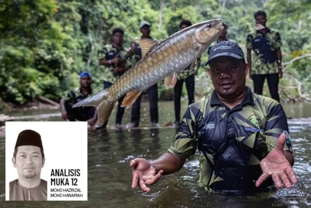 Ikan kelah merupakan antara ikan tempatan yang mempunyai nilai komersial tinggi dalam perikanan air tawar negara. Foto Bernama