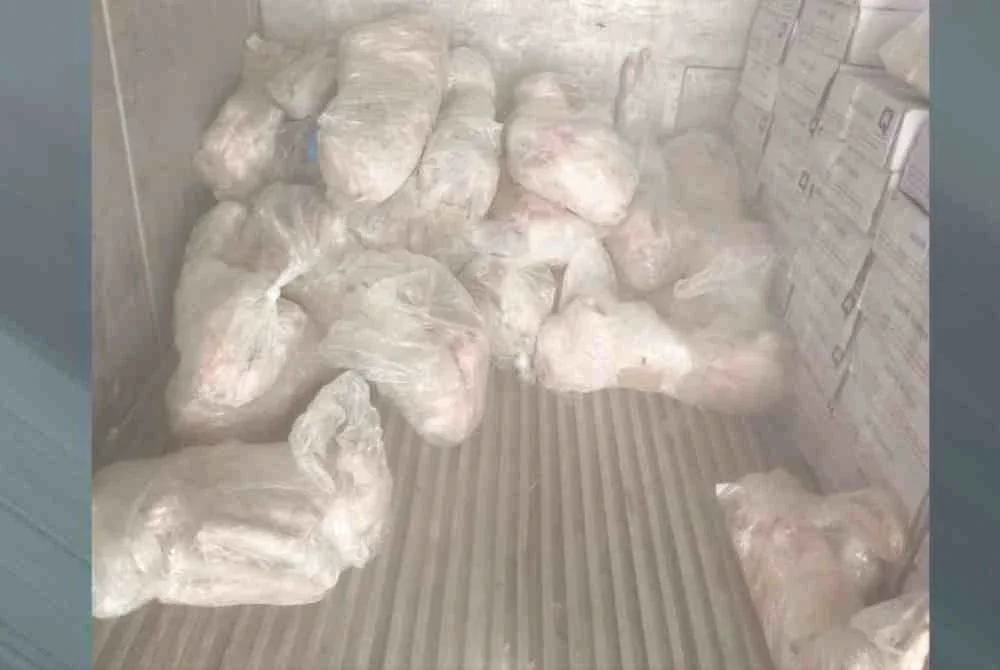 Katak-katak yqng ditemui dibungkus dipercayai siap untuk diedarkan kepada pelanggan. FOTO BRIGED TENGGARA PGA