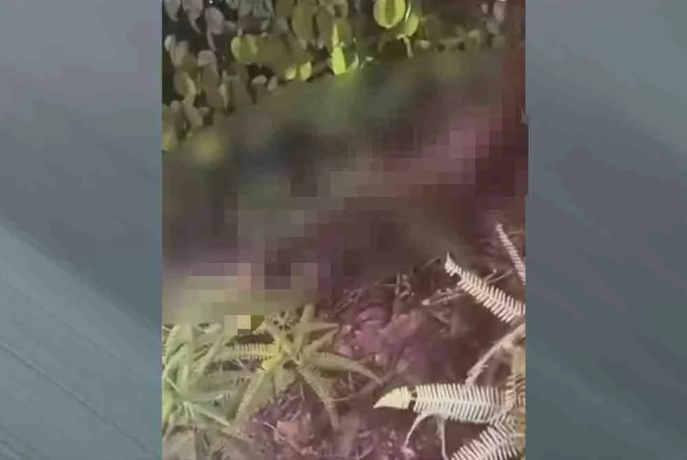 Seorang kanak-kanak yang dilaporkan hilang sejak tiga hari lalu dipercayai dibunuh selepas mayatnya ditemukan di kawasan semak.