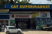 Program CSR kucing angkat di Melaka diteruskan Sabtu terakhir setiap bulan.