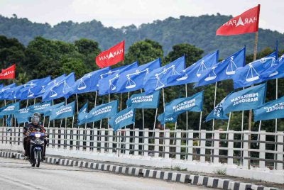 Bagi Merak Jalanan, apabila berlaku penjajaran dan strategi baharu dalam politik negara, kita akan dapat saksikan BN dan PN pula bekerjasama untuk mendapatkan sokongan rakyat. Foto fail Bernama 
