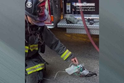 Ia berjaya diselamatkan oleh anggota bomba di Oakland, California, selepas diberikan bantuan oksigen di lokasi kejadian. Foto CBC News.
