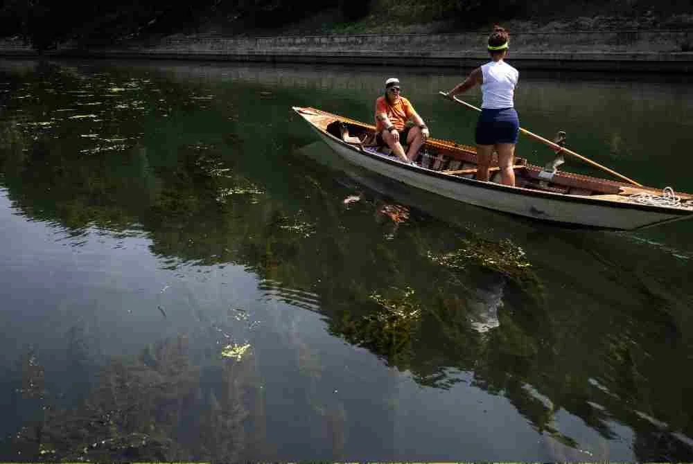 Aktiviti mendayung dan sukan air turut terjejas akibat pertumbuhan alga yang tidak terkawal di sungai tersebut.