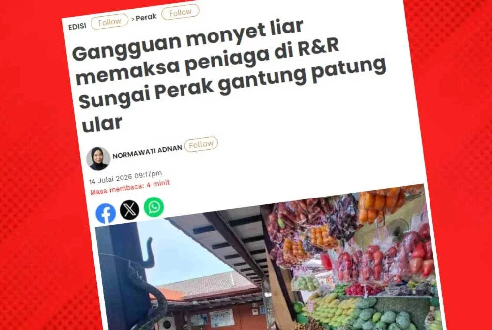 Sinar Harian melaporkan gangguan monyet liar di R&R Sungai Perak arah utara menjejaskan keselesaan pengunjung serta operasi peniaga.