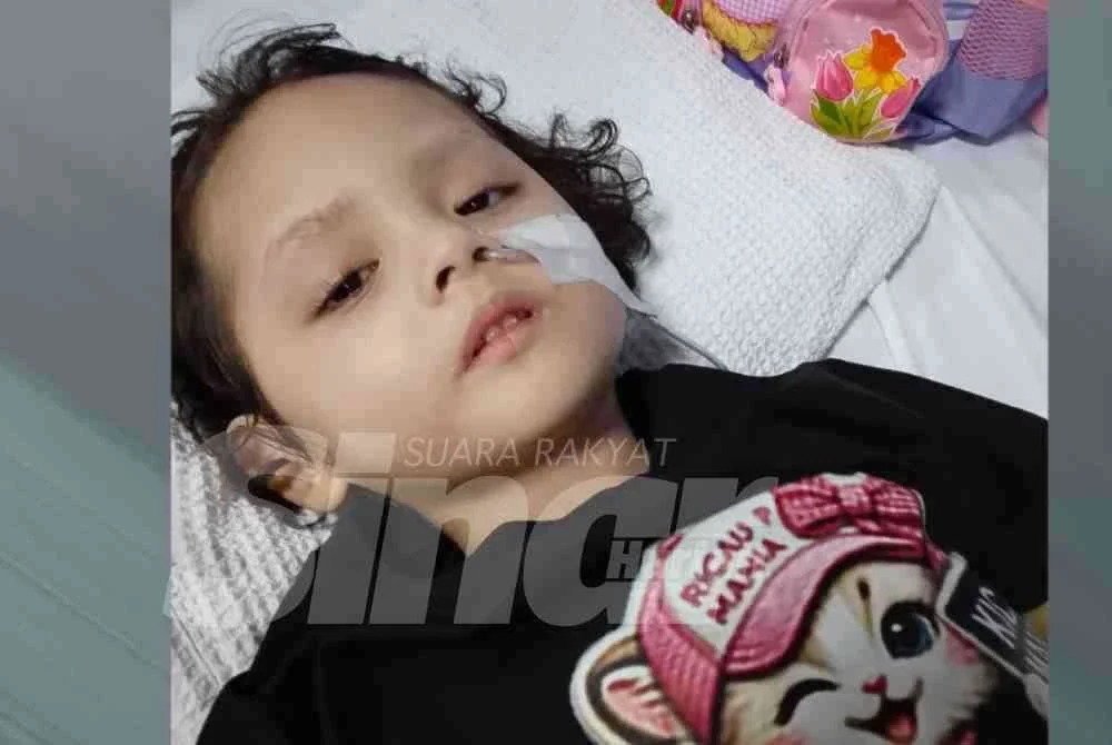 Dahlia kini terlantar sejak lapan bulan lalu akibat komplikasi kesihatan yang menjejaskan fungsi otak.