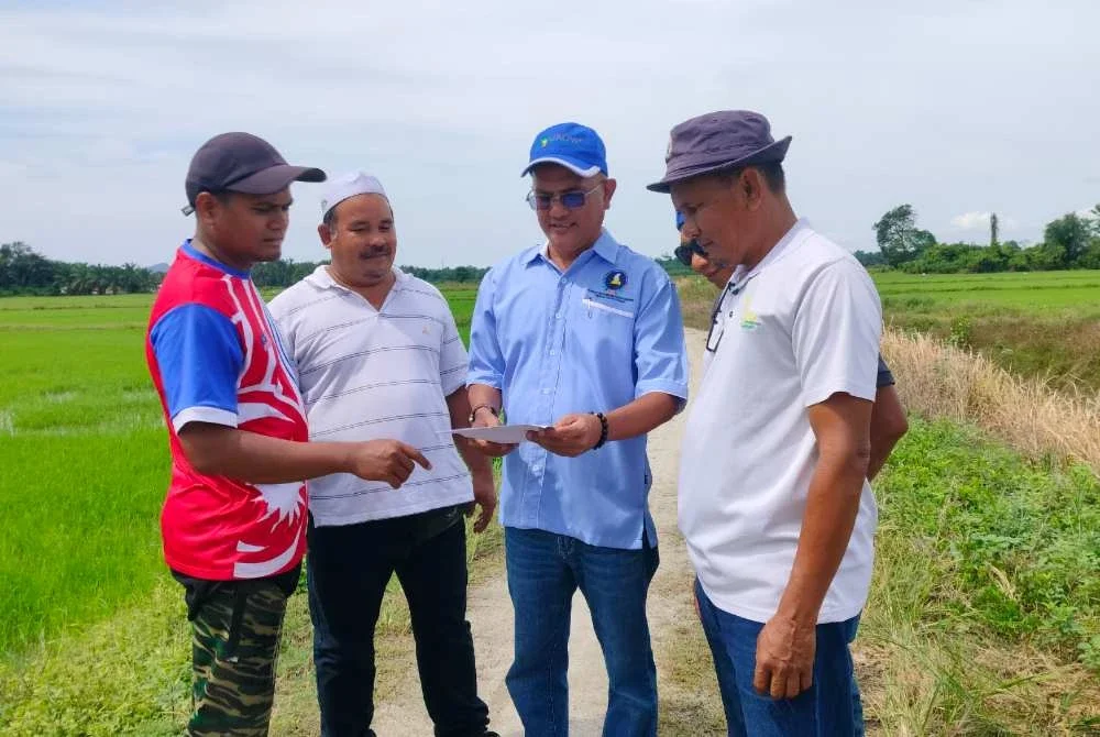Nurfitri (kiri) dan Azhar (kanan) berbincang sesuatu dengan Nordin (dua dari kanan) mengenai isu tanaman padi di kawasan Lambor Laman di sini pada Sabtu.