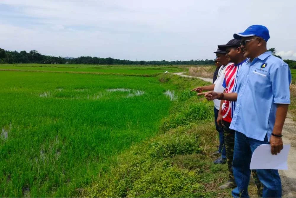 Nordin (kiri) bersama pesawah melihat tanaman padi berdepan masalah kekurangan bekalan air di kawasan Lambor Laman di sini pada Sabtu.