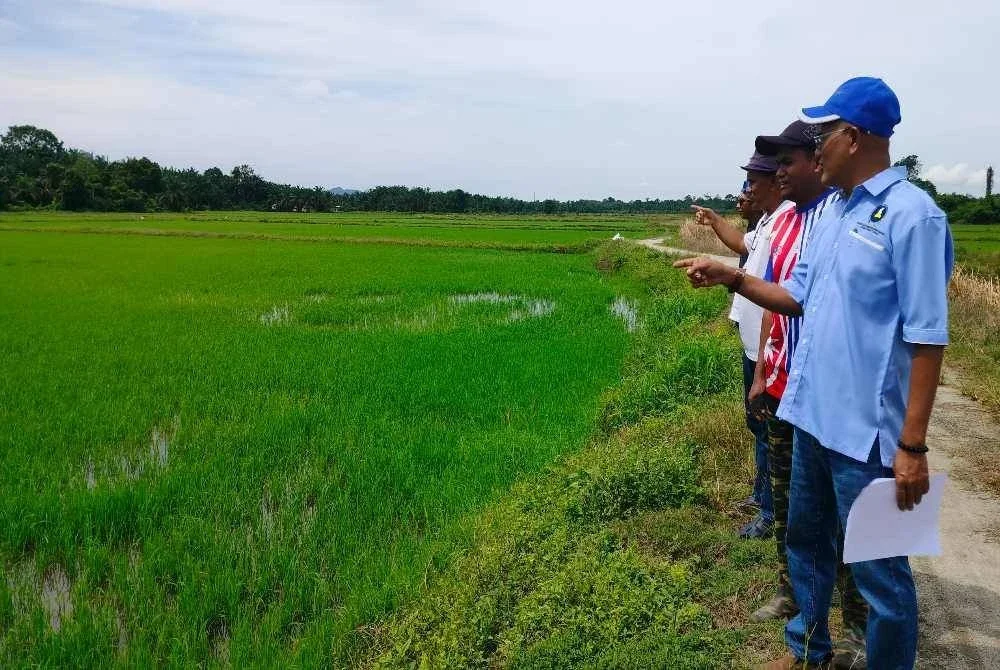 Nordin (kanan) ketika meninjau keadaan sawah padi di Lambor Kanan di sini pada Sabtu.