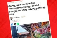 Sinar Harian melaporkan gangguan monyet liar di R&R Sungai Perak arah utara menjejaskan keselesaan pengunjung serta operasi peniaga.