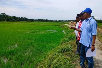 Nordin (kanan) ketika meninjau keadaan sawah padi di Lambor Kanan di sini pada Sabtu.