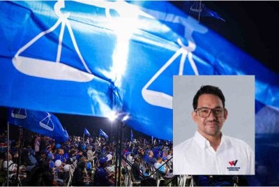 Dr Muzzammi berkata, langkah itu merupakan perkembangan positif ke arah pembinaan sebuah Rumah Bangsa yang menghimpunkan parti-parti berteraskan perjuangan Melayu-Islam dan nasionalisme. 