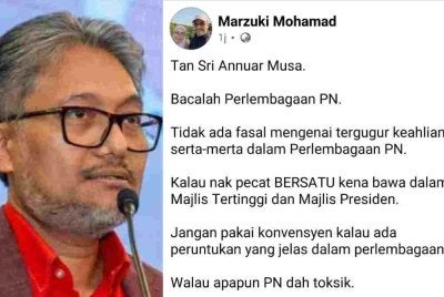Tangkap layar hantaran Marzuki Mohamad.