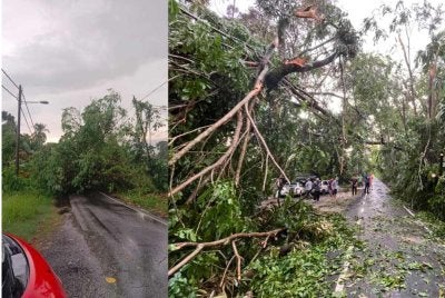 Keadaan di lokasi kejadian pokok tumbang pada Sabtu.