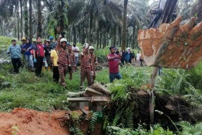 Seorang wanita warga tempatan maut selepas dihempap pokok kelapa sawit tumbang.