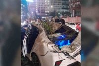  Seorang lelaki maut manakala tujuh sekeluarga terima rawatan di hospital selepas dua kenderaan dinaiki mereka dihempap sebatang pokok tumbang dalam kejadian di Jalan Tun Razak.