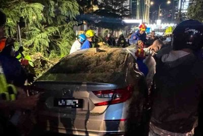 Siasatan awal mendapati pokok tumbang berkenaan menghempap dua kenderaan iaitu sebuah Honda Accord dan Perodua Bezza yang dinaiki lapan mangsa.