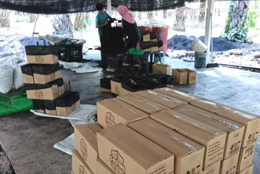 Arang tempurung kelapa yang siap dibungkus dan akan dipasarkan mengikut permintaan pelanggan.