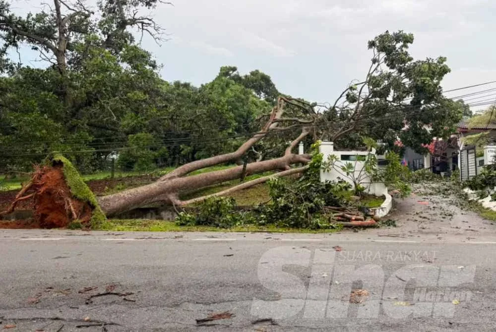 Pokok di tepi jalan tumbang lalu menghempap kediaman Kalsom pada Rabu.