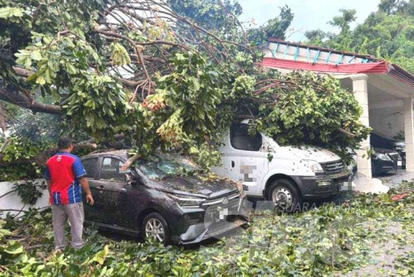 Keadaan kereta yang terjejas akibat dihempap pokok tumbang.