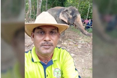 Menurut Santharasekaran, pemindahan DAK ke Zoo Tennoji tidak wajar kerana zoo berkenaan didakwa belum membuktikan kejayaan program pembiakan gajah.