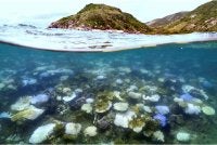 Ia diiktiraf sebagai Tapak Warisan Dunia UNESCO sejak 1981 kerana nilai semula jadi dan kepelbagaian biologinya yang luar biasa.