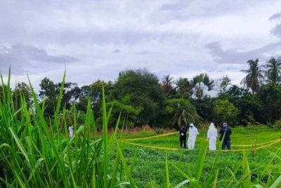 Satu bungkusan guni disyaki berisi rangka manusia yang telah reput ditemukan di kawasan kebun berhadapan sebuah kilang di Kangar. Foto tular
