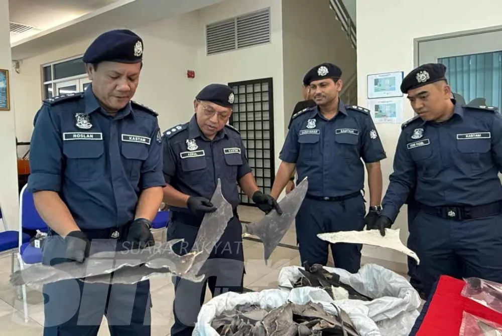 Roslan (kiri) menunjukkan sirip ikan yu yang dirampas.