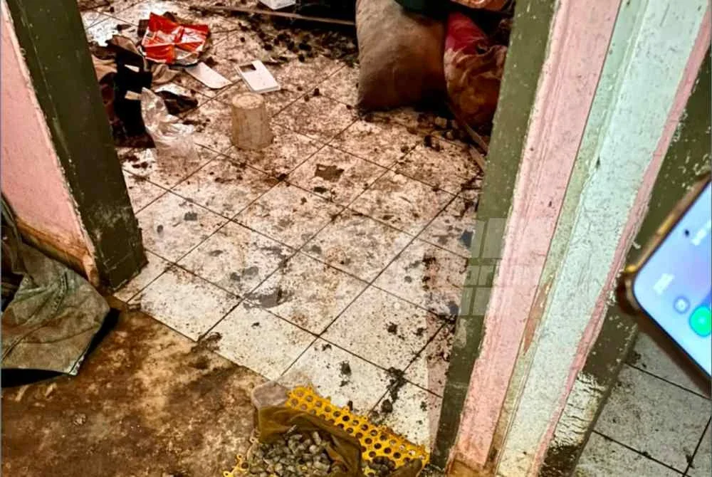 Tahi kucing yang dibiarkan di dalam rumah. FOTO Nurul Farhana