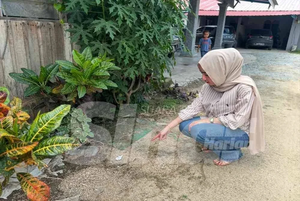 Nur Shairah Solehah turut menjumpai serpihan mercun.
