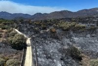 Kawasan yang binasa dijilat api di kawasan Camino de Navahonda berhampiran Robledo de Chavela, kira-kira 60 kilometer barat Madrid. - Foto AFP