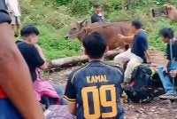 Tangkap layar video dimuat naik pemilik akaun Instagram @pendakilawas baru-baru ini yang mengundang kecaman warga maya.